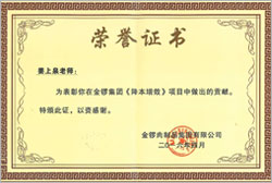中國企業500強金鑼集團榮譽證書